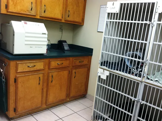 College Hills Veterinary Hospital 12