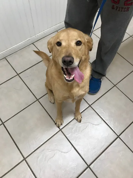 College Hills Veterinary Hospital 12