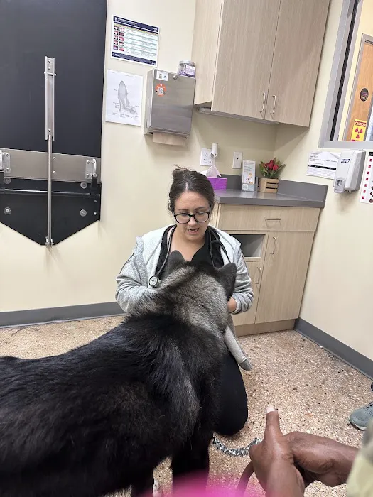 Vetco Total Care Animal Hospital 8