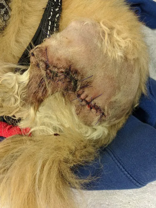 Bay Shore Animal Hospital 1