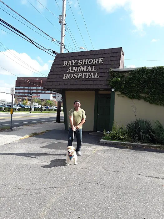 Bay Shore Animal Hospital 4