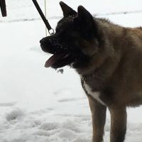 Bayview Animal Hospital PC ico
