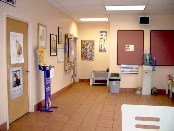 East Islip Animal Hospital 4