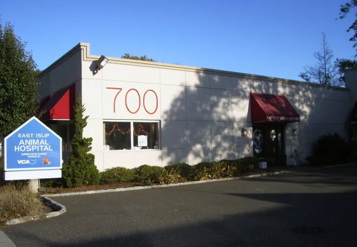 East Islip Animal Hospital 5