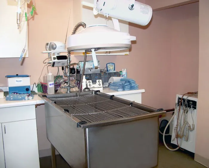 East Islip Animal Hospital 9