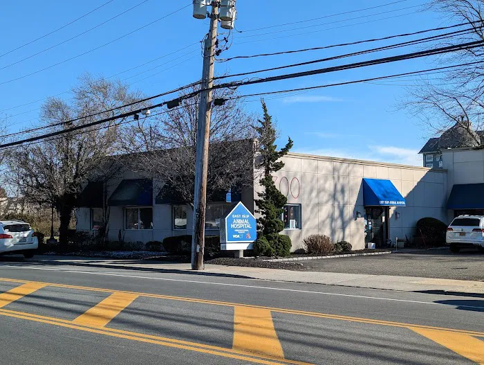 East Islip Animal Hospital 3
