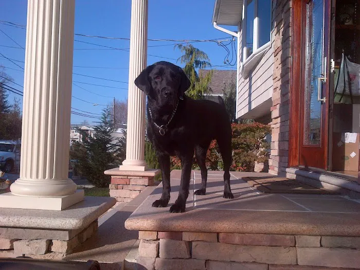 Islip Animal Hospital 2