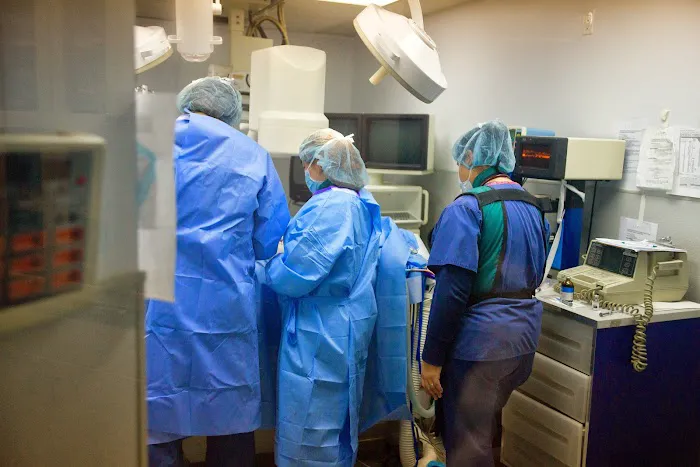 Atlantic Coast New York Veterinary Specialists 10