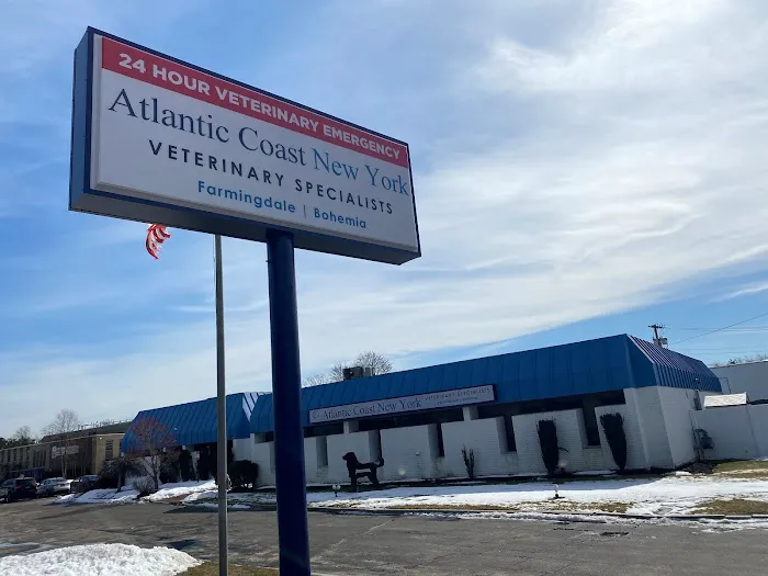 Atlantic Coast New York Veterinary Specialists 5
