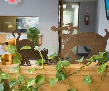 Atlantic Coast New York Veterinary Specialists