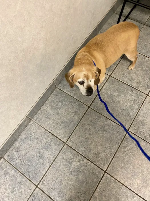 Atlantic Coast New York Veterinary Specialists 8
