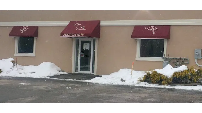 Just Cats Health Care 7