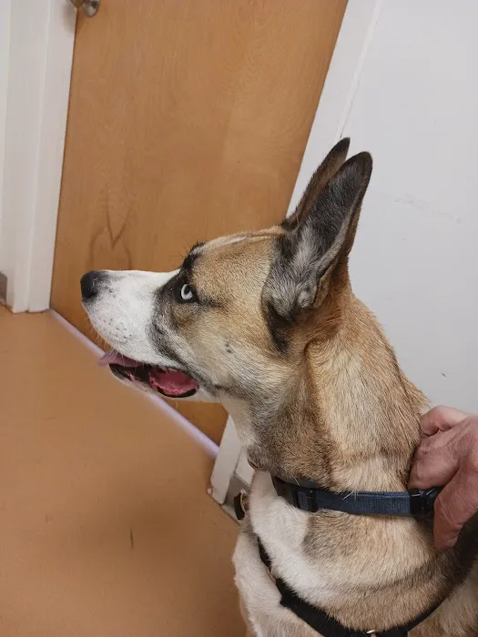 Animal Medical Hospital of Centereach 12