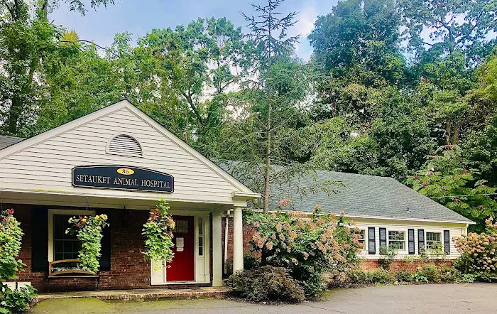 Setauket Animal Hospital 3