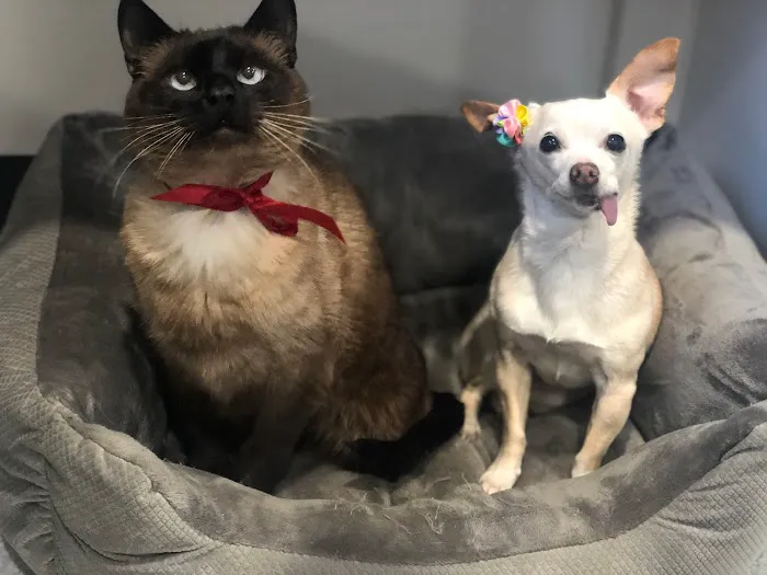 Setauket Animal Hospital 5
