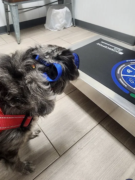 Hawkins Animal Hospital & Wellness Center 3