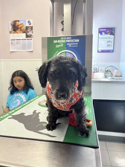 Hawkins Animal Hospital & Wellness Center 8