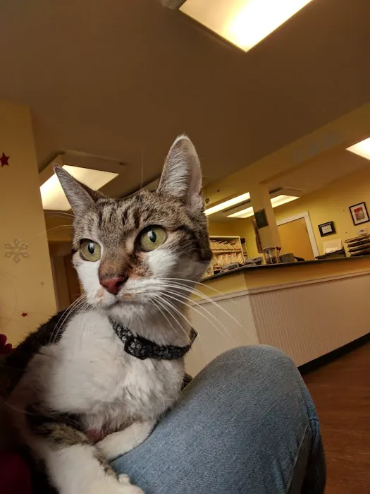 Centereach Animal Hospital 12