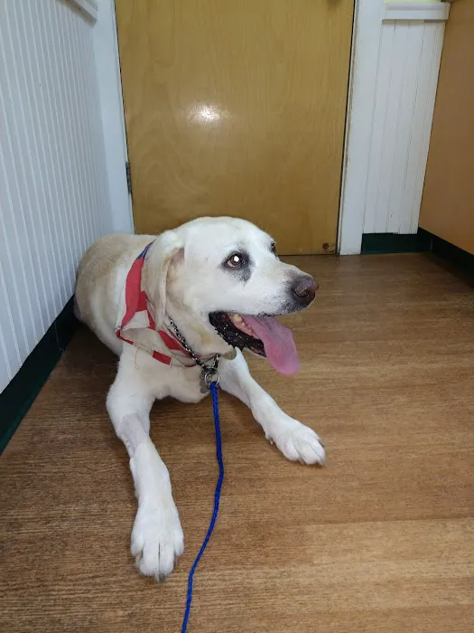 Centereach Animal Hospital 12