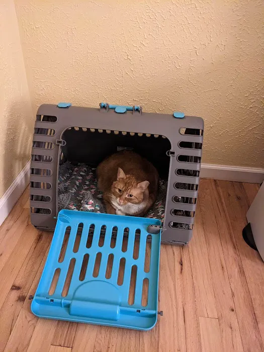 Centereach Animal Hospital 12