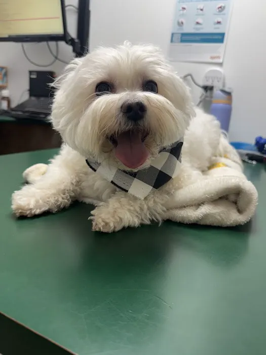 Indian Ridge Animal Hospital, Inc. 12