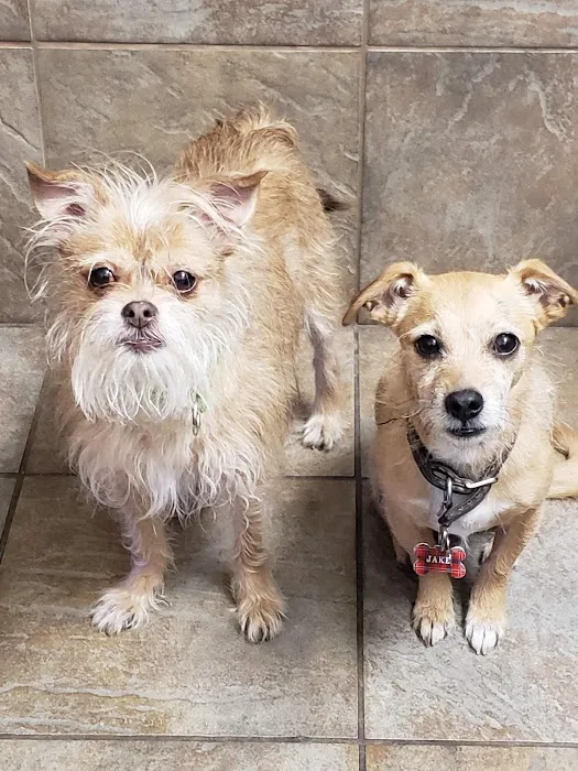 Indian Ridge Animal Hospital, Inc. 12