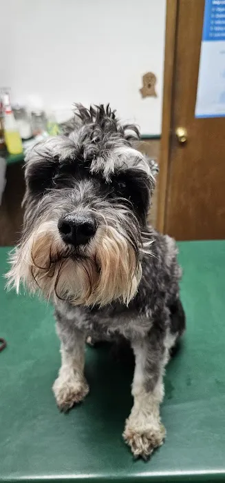 Indian Ridge Animal Hospital, Inc. 12