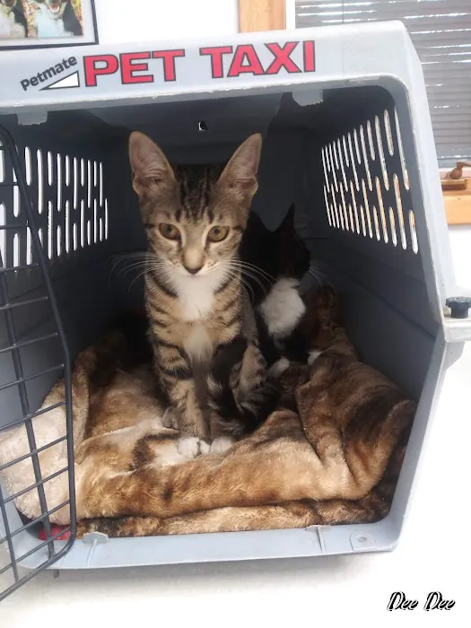 Roark Small Animal Clinic 12