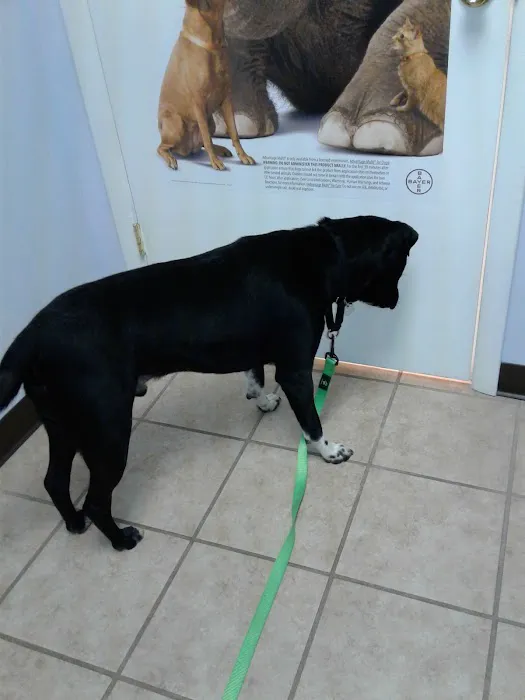Roark Small Animal Clinic 12