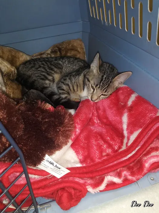 Roark Small Animal Clinic 12