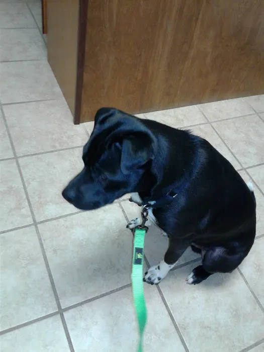 Roark Small Animal Clinic 12