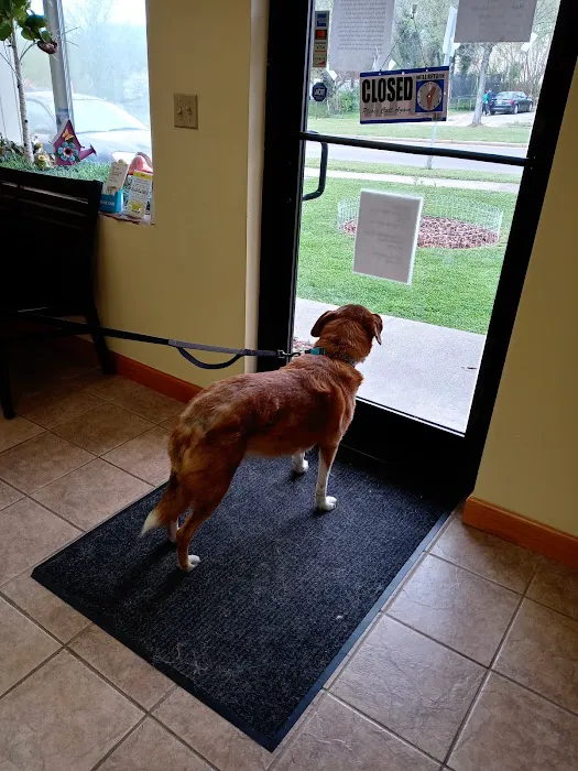 Roark Small Animal Clinic 12