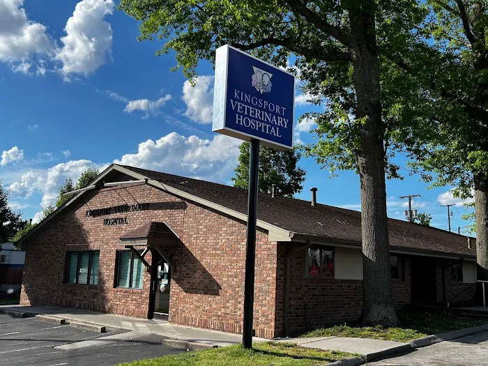 Kingsport Veterinary Hospital 12