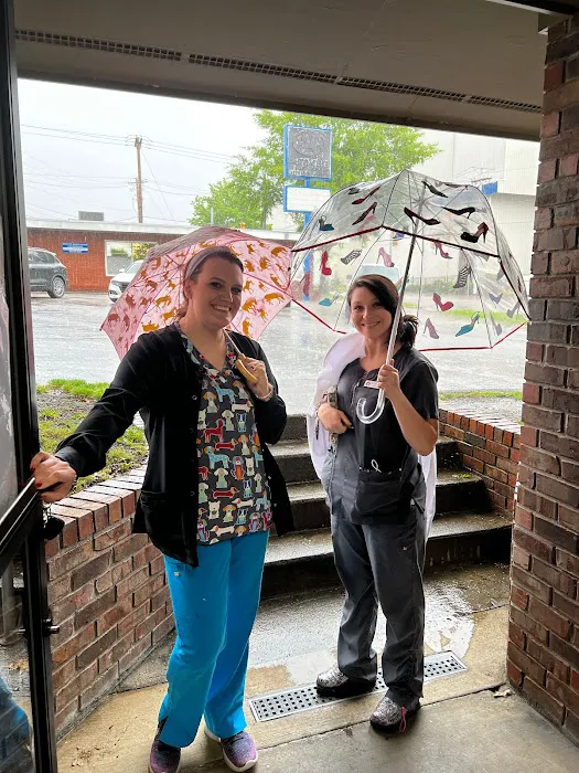 Kingsport Veterinary Hospital 12