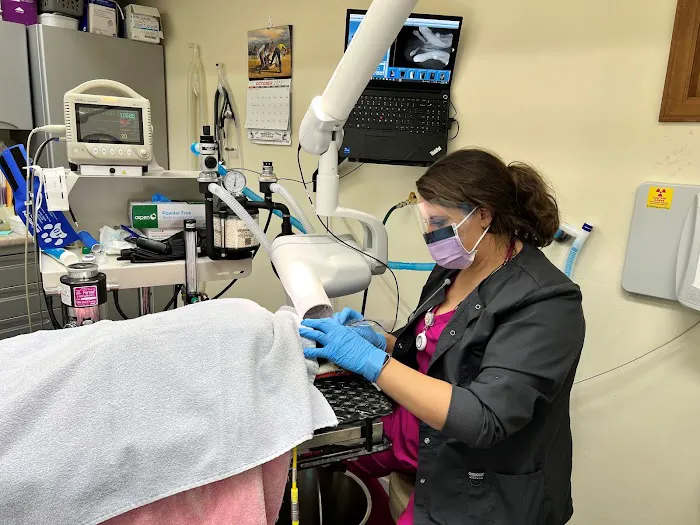 Kingsport Veterinary Hospital 12