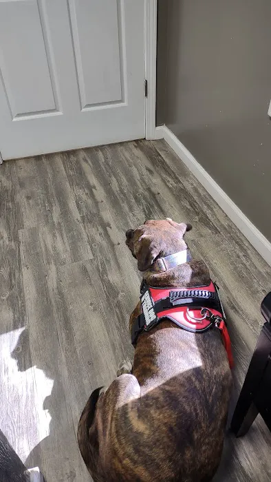 Valley View Animal Clinic 2