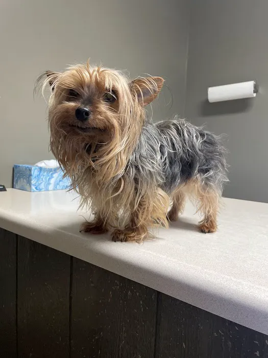 Valley View Animal Clinic 3
