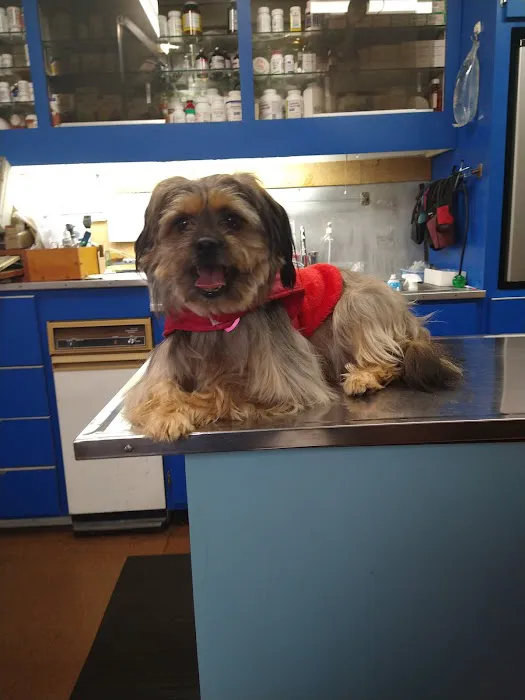 Lee Highway Animal Hospital 12