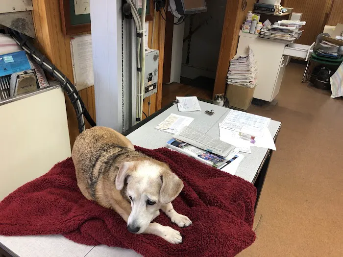 Lee Highway Animal Hospital 12