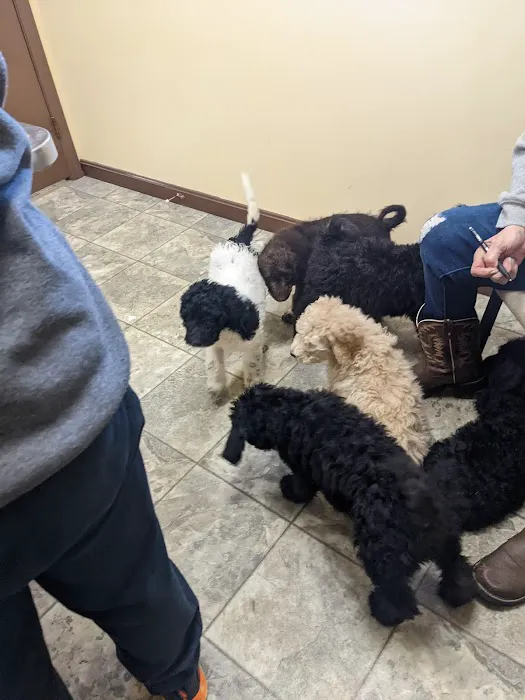 Abingdon Animal Medical Center 10