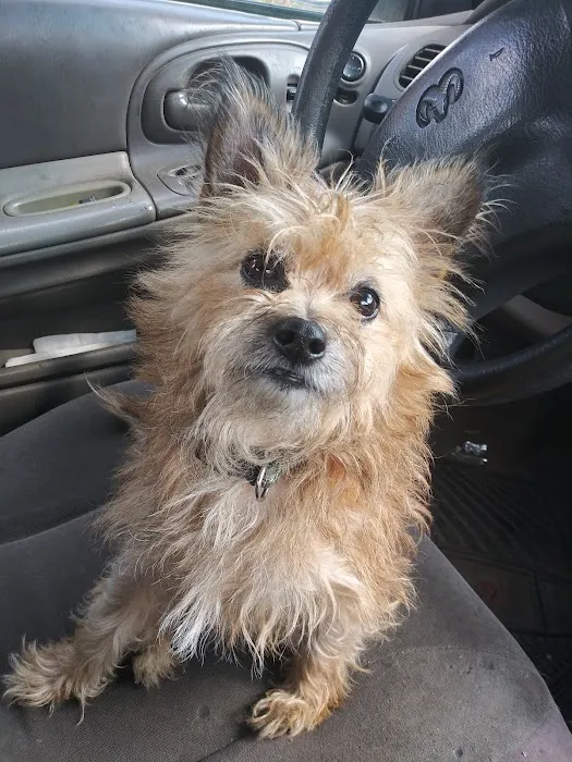 Abingdon Animal Medical Center 9