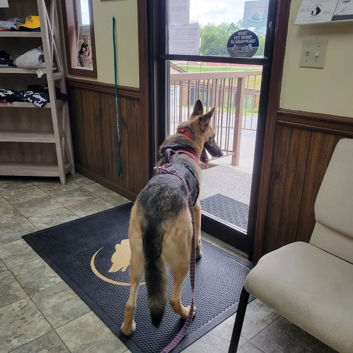 Abingdon Animal Medical Center 1