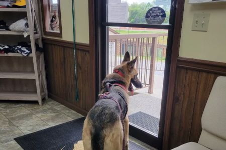 Abingdon Animal Medical Center