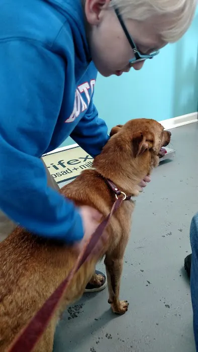 Keywood Animal Clinic 5