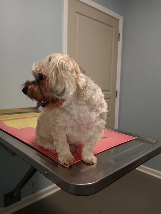 Keywood Animal Clinic 2