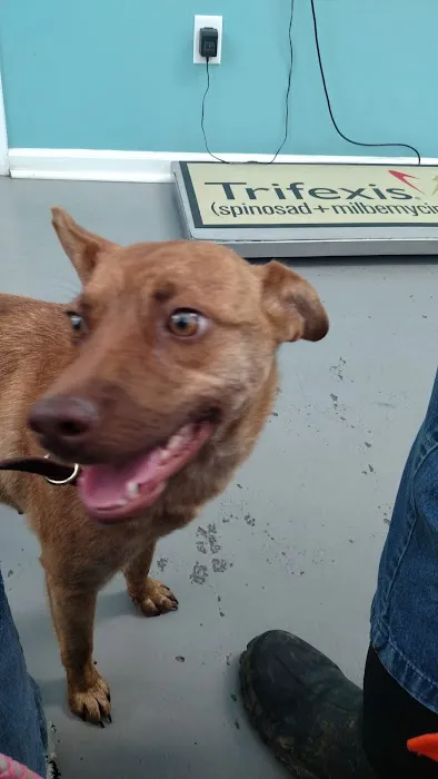 Keywood Animal Clinic 3