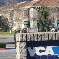 VCA El Rancho Animal Hospital ico