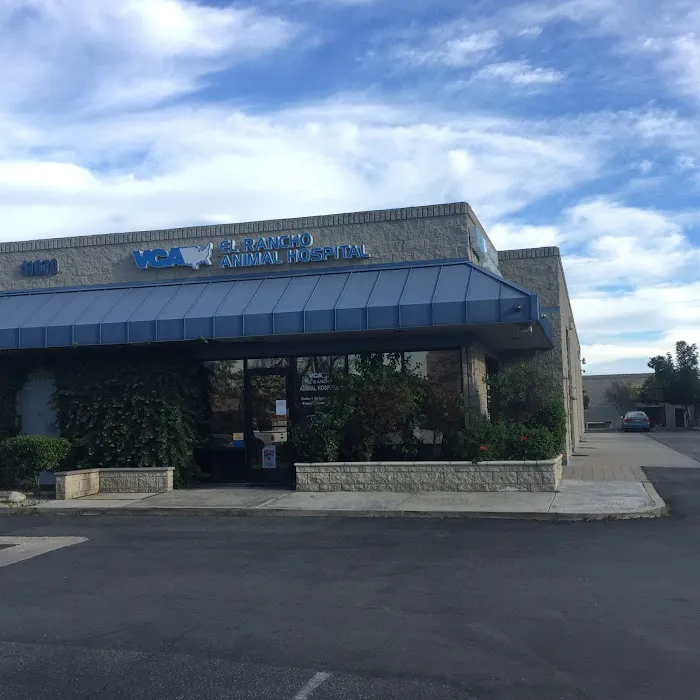VCA El Rancho Animal Hospital 8