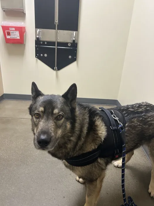 Vetco Total Care Animal Hospital 10
