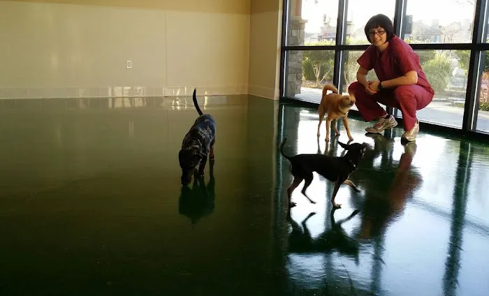 Temecula Valley Animal Hospital 9